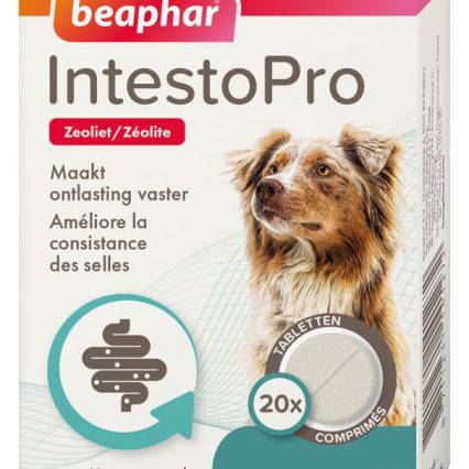 IntestoPro Tabletter Hund >20kg