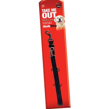 Take Me Out – Multi Lead