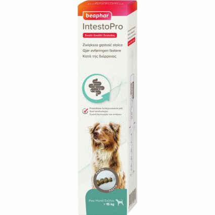 IntestoPro Pasta Hund <15kg 40ml